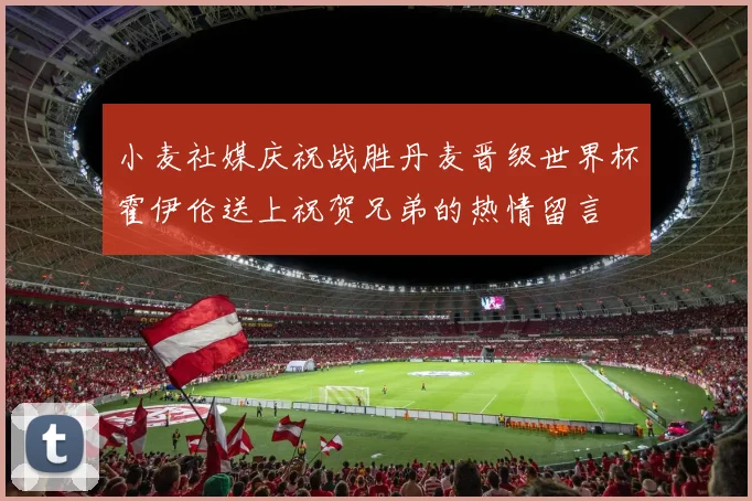 小麦社媒庆祝战胜丹麦晋级世界杯霍伊伦送上祝贺兄弟的热情留言