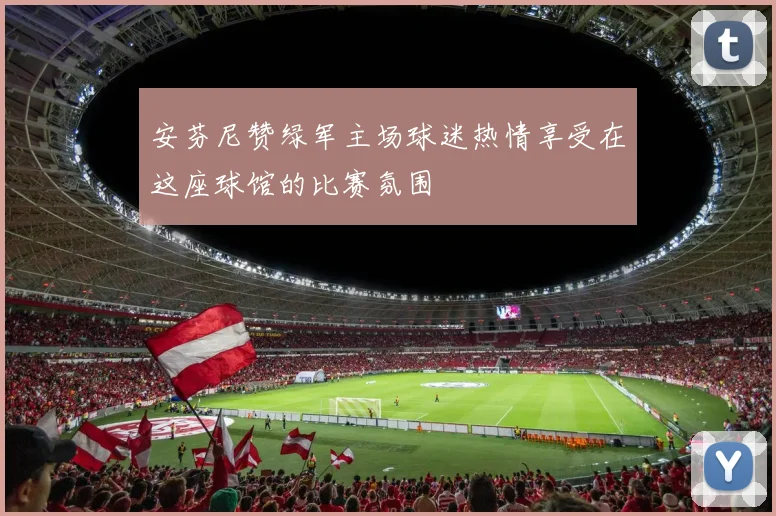安芬尼赞绿军主场球迷热情享受在这座球馆的比赛氛围