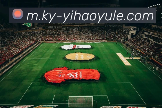 壹号娱乐服务体系